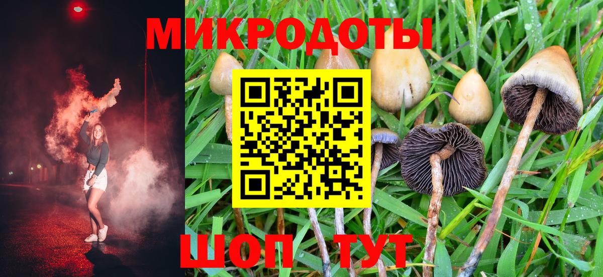 Псилоцибиновые грибы Psilocybe Урус-Мартан