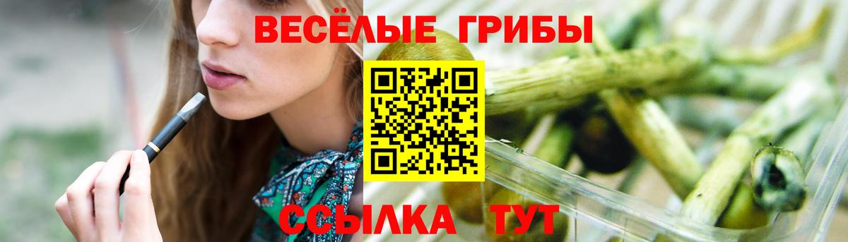 Псилоцибиновые грибы ЛСД  Вход с VPN  Псилоцибиновые грибы прущие грибы  Урус-Мартан 